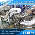 2020 fully automatic ice packing machine with weigh and convey system